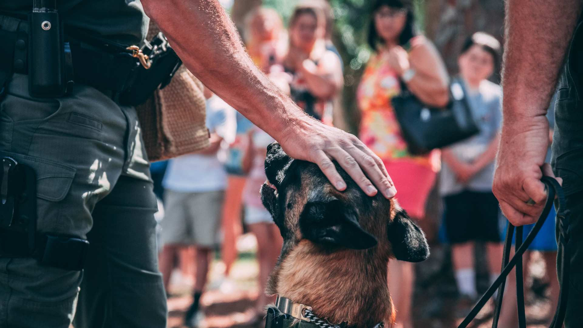 THE PROBLEM WITH, “IT’S OK! HE’S FRIENDLY!”